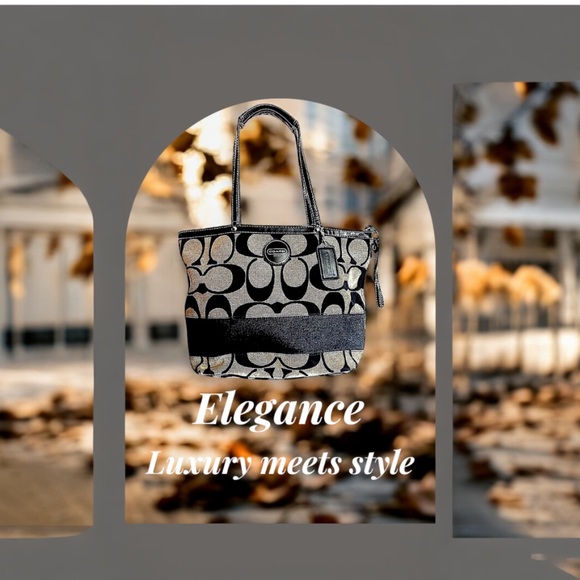 COACH Vintage Luxury Signature Canvas Stripe Canvas Tote in Black/Gray - Picture 4 of 16